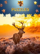 Animals Jigsaw Puzzles 2017 Image