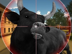Bull Shooting Image