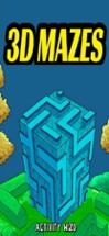 Funny 3D Maze - Classic Maze Image