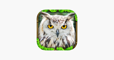 Owl Simulator Image