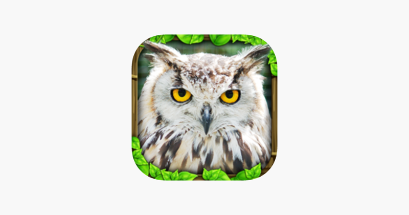 Owl Simulator Game Cover