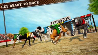 Dog Race &amp; Stunts 2016 Image