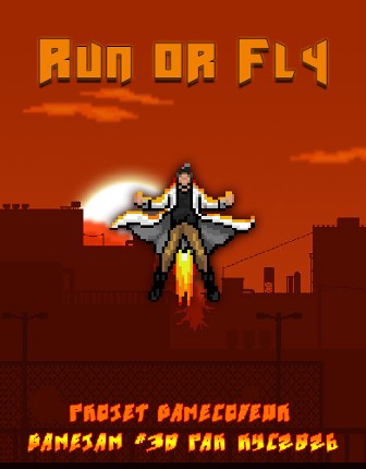 RUN OR FLY Game Cover