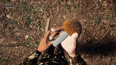 Mushroom Picker Simulator Image