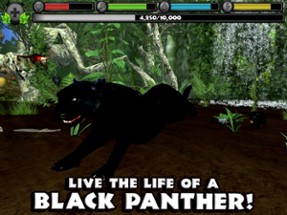Panther Simulator Image