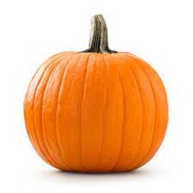 fucking hell (The pumpkin document) Image