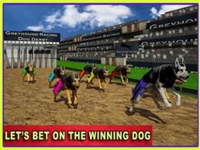 Race Dog Racer Simulator 2016 – Virtual Racing Championship with Real Police Dogs Image