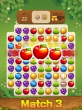 Fruits Magic : Match 3 Puzzle Image