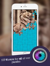 Jigty Sculpture Puzzles Packs - Magical Pro Collection HD Image