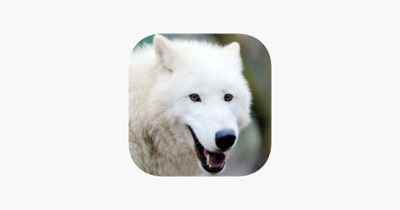 Arctic Wolf Survival Simulator Image