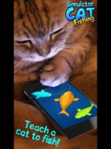 Simulator Cat Fishing Image