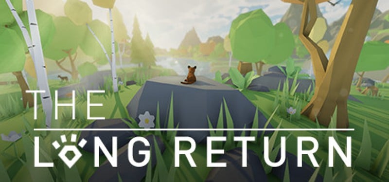 The Long Return Game Cover