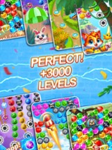 Bubble Shooter POP Bird Image