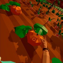 Harvest VR Image