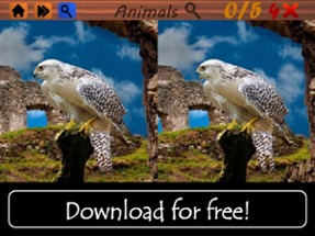 Spot the Differences - Animals Image