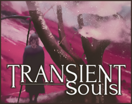 Transient Souls Image
