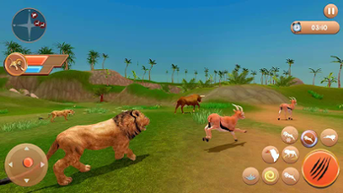 Lion Games Animal Simulator 3D Image