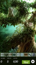 Hidden Object - Cats Island Image