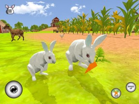 My Rabbit Bunny Simulator Image