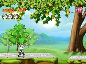 Panda Pear Forest Image