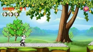 Panda Pear Forest Image