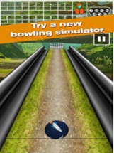 Pin Bowling Game Image