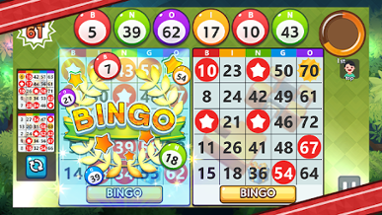 Bingo Treasure - Bingo Games Image