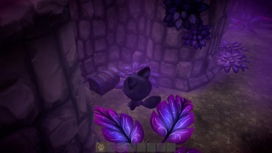 Potion Paws Image