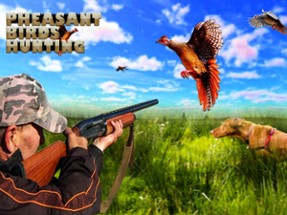 Pheasant Bird Hunting 18 Image