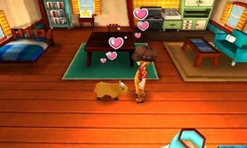 Story of Seasons: Trio of Towns Image