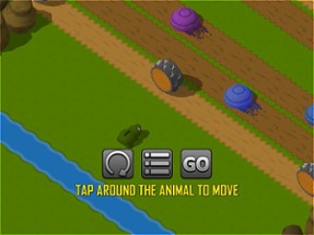 Animals Crossing Image