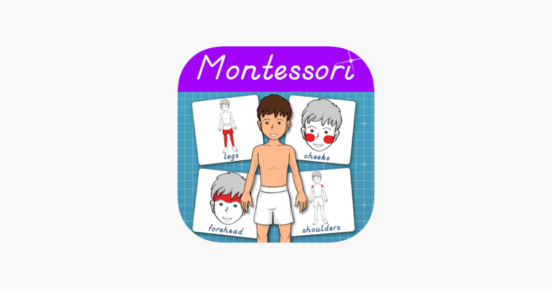 Human Body -Montessori Anatomy Game Cover