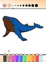 Coloring Book Sea Animal HD: Learn to paint and color a shark, jellyfish, crab and more Image
