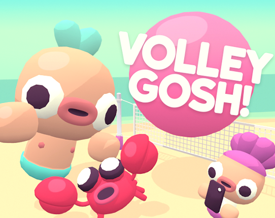 Volley Gosh Game Cover