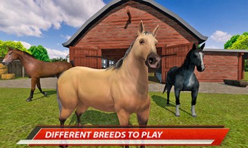 My Horse Show: Race & Jumping Challenge Image