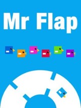 Mr Flap Image