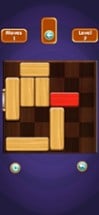 Unblock Puzzle Pro Image