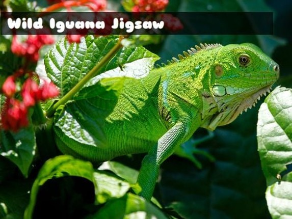 Wild Iguana Game Cover