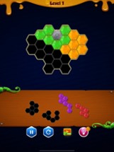 Block Puzzle: Hexa Game Image