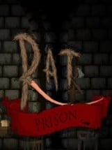 Rat Prison Image