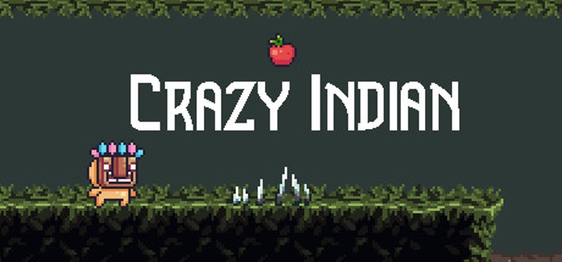 Crazy indian Game Cover