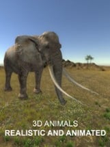 Explain 3D: Tropical and African animals FREE Image