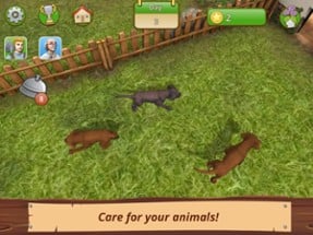 Pet World - My Animal Shelter Image