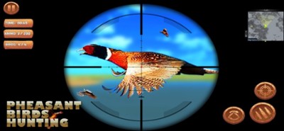 Pheasant Bird Hunting 18 Image