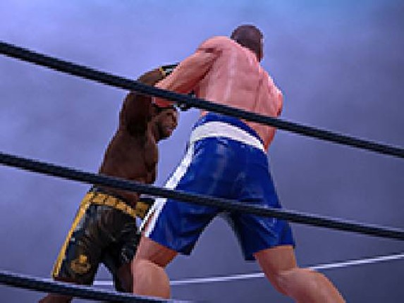Ultimate Boxing Game Cover