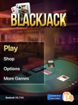 Blackjack 21 ◈ Image