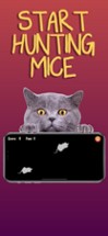 Cat Games Image