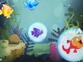 Fishes Aquarium for Toddlers Image