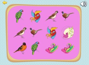 Improve Your Kids Brain With Matches Bird Cards Image