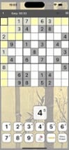 Sudoku Image